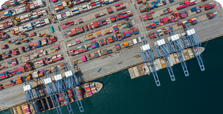 Empleabilidad en mercado nacional e internacional